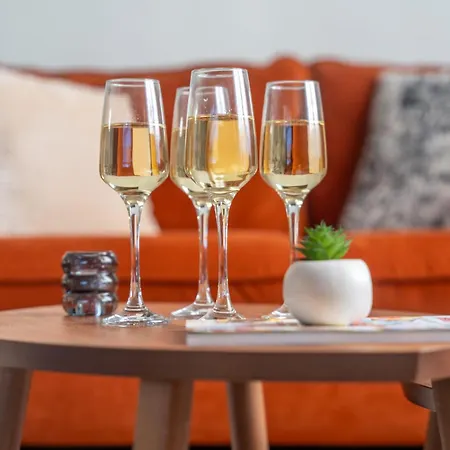 Le Nid Du Cygne - By Prestiplace Appartement Tours